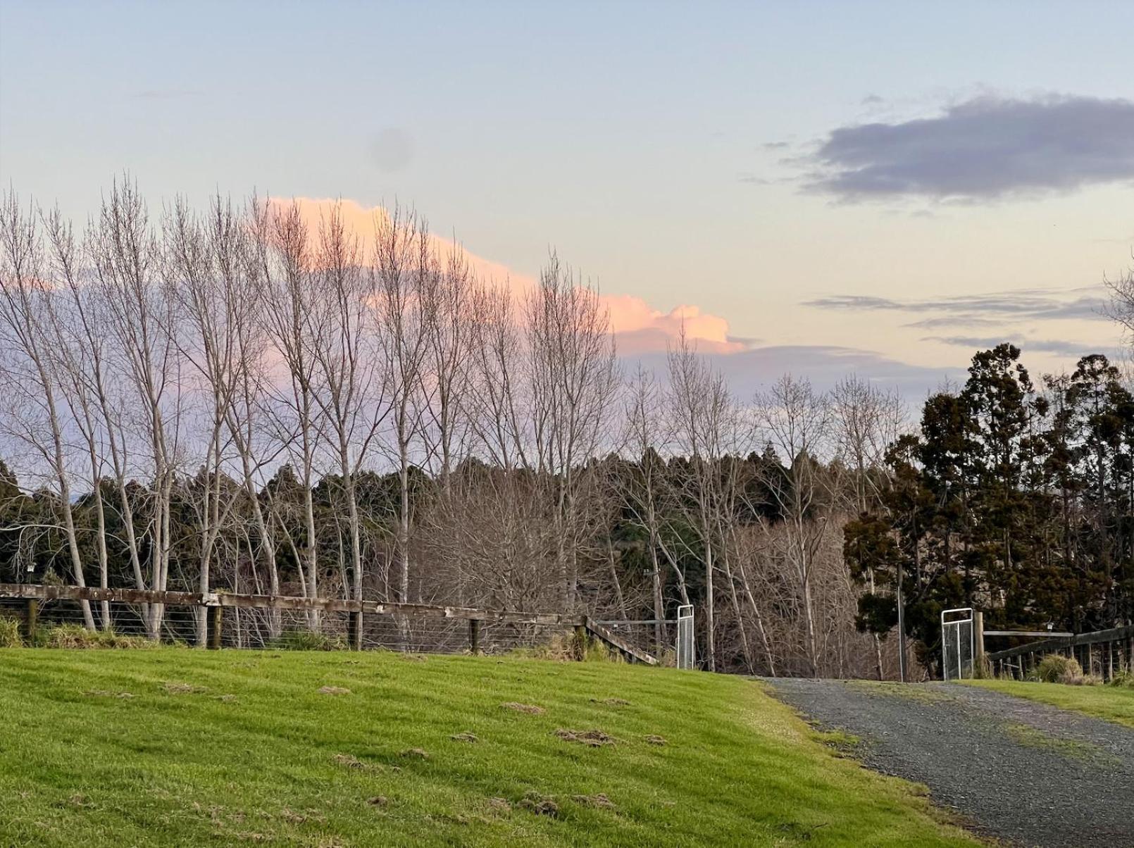Ranfurly Holiday Home Auckland Exterior photo